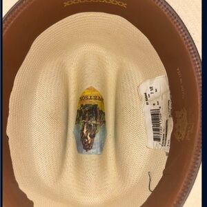 Stetson Tan and Brown Hat